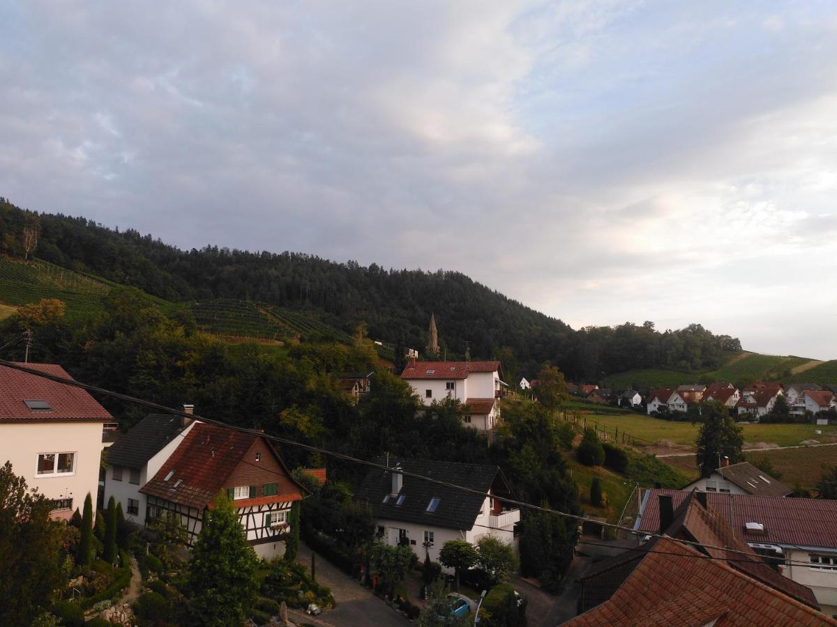 by VOLLMER´s komfortabel und chic Lejlighed Offenburg Eksteriør billede